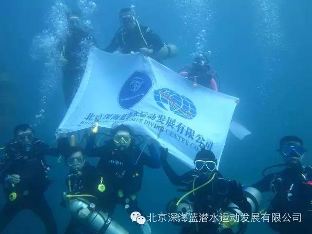 僵尸敲方块